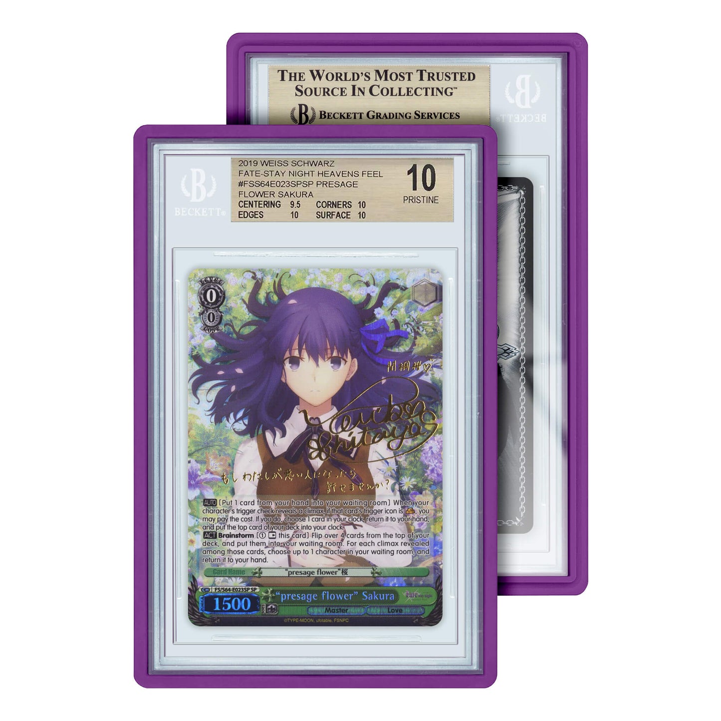 Standard Case (BGS)